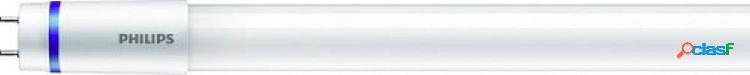 Philips Lighting LED (monocolore) ERP: D (A - G) G13 T8