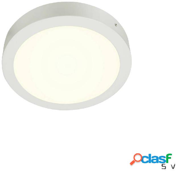 SLV SENSER 24 1004702 Plafoniera LED Bianco 15 W Bianco