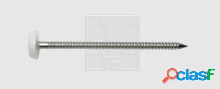 SWG 9841316530 Chiodo con testa in plastica (Ø x L) 3.1 mm