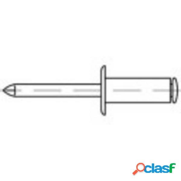 TOOLCRAFT 160333 Rivetto a strappo (Ø x L) 5 mm x 12 mm