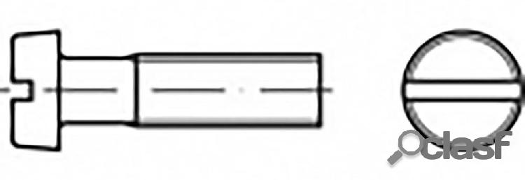 TOOLCRAFT TO-6864894 Vite a testa cilindrica M2 12 mm Taglio