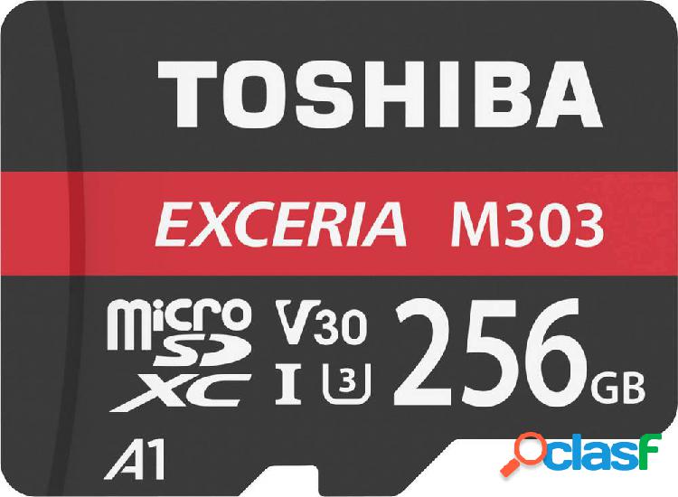 Toshiba M303 Exceria Scheda microSDXC 256 GB Class 10,