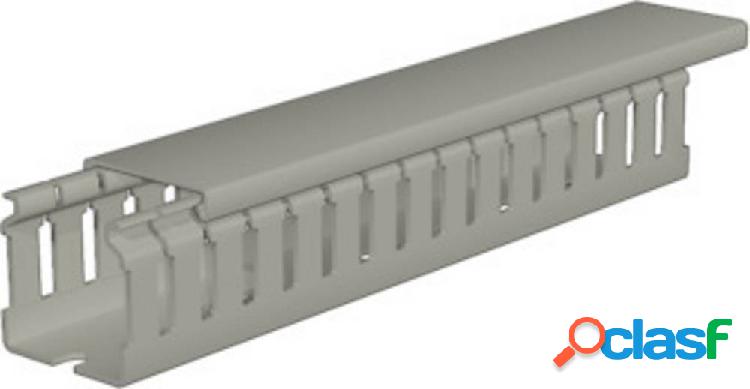 Weidmüller 2590170000 Canale porta cavi (L x L x A) 2 m x