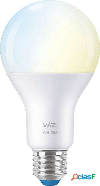 WiZ 871869978617500 LED (monocolore) ERP E (A - G) E27 13 W