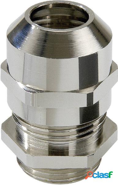 Wiska 10065007 Pressacavo filettato M63 Ottone Ottone 10 pz.