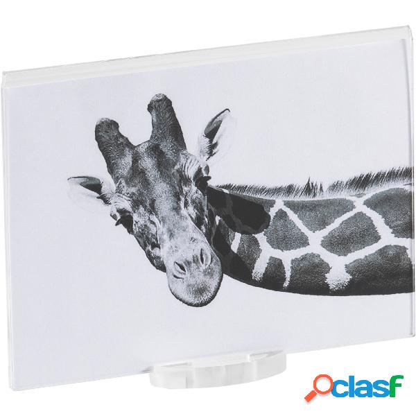 photo frame air 15 20 trasparente incolore, spessore 10-2 mm