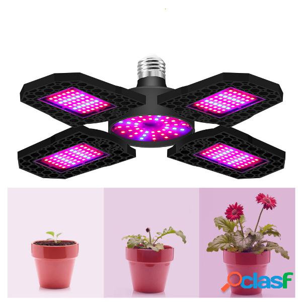 100W / 120W / 150W E26/E27 LED Pianta a spettro completo UV
