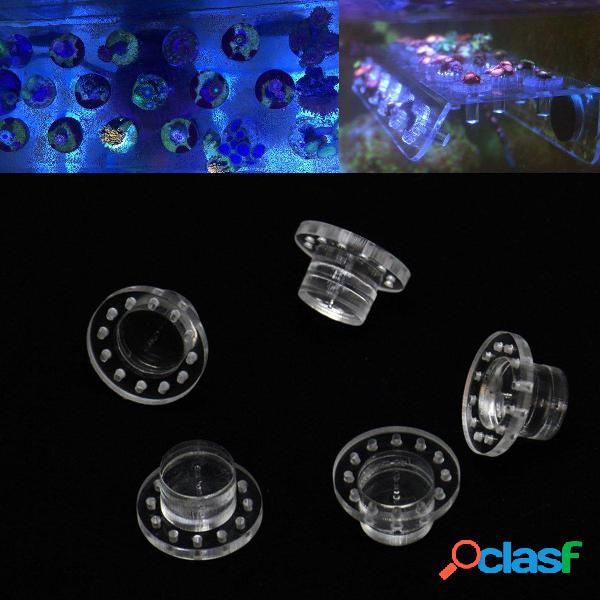 5 pezzi Borsa Acquario marino acrilico Corallo Frag Spine