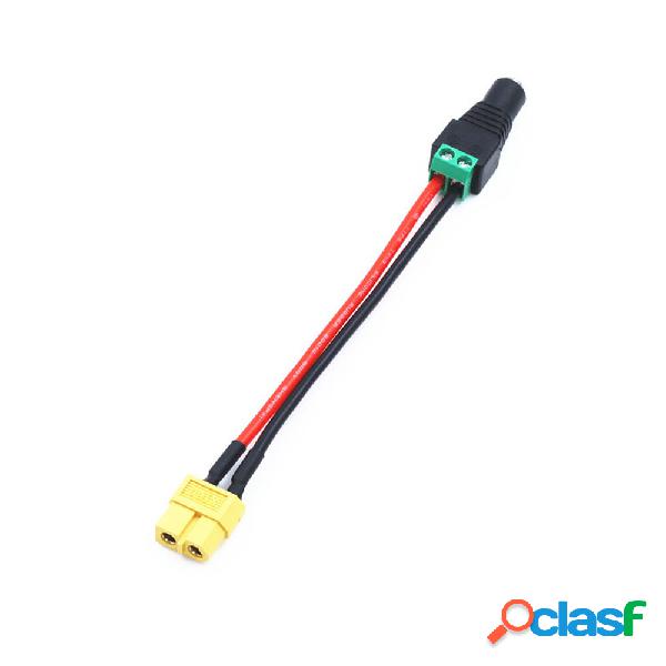 AMASS XT60 Connettore Femmina a DC 5,5 mm * 2,5 mm / 5,5 mm