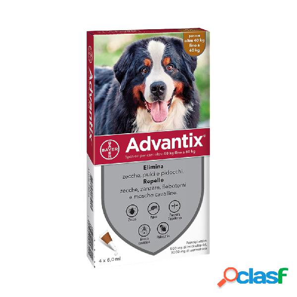 Advantix Spot-On cane 40-60 kg 4 pipette