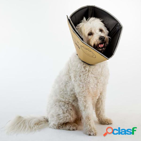 All Four Paws Collare Medico per Cani Comfy Cone Taglia L 25