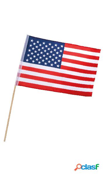 Bandiera USA Piccola