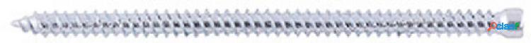 Fischer 532906 Vite speciale per installazione di serramenti