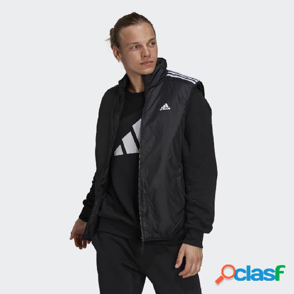 Giacca senza maniche Essentials Insulated