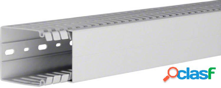 Hager HA780060 Canale porta cavi (L x L x A) 2000 x 60 x 80
