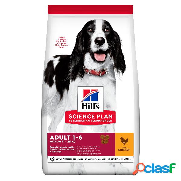 Hills Science Plan Dog Medium Adult con Pollo 12 kg