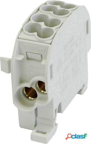HoraeTec 106285 Terminale ramo principale PA, Ottone Grigio
