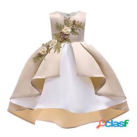 Kids Little Girls Dress Flower Party Performance Pegeant