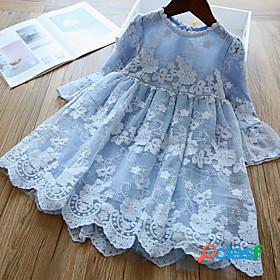 Kids Little Girls Dress White Solid Colored Embroidered Mesh