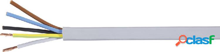 LAPP 1601126 Cavo flessibile H05VV-F 5 G 2.50 mm² Bianco