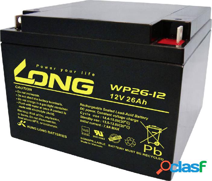 Long WP26-12 WP26-12 Batteria al piombo 12 V 26 Ah