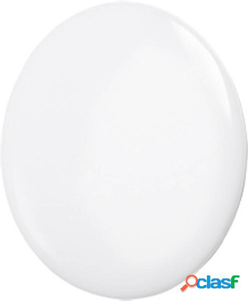 Mlight 81-2021 Plafoniera LED Bianco 30 W Bianco freddo,