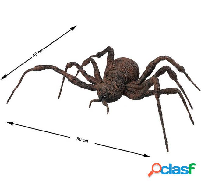Ragno marrone di 50x40 cm