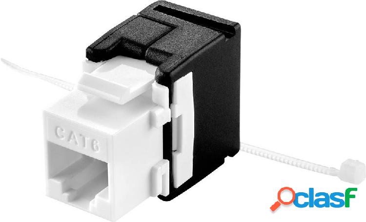 Renkforce Modulo RJ45 da incasso Keystone CAT 6A