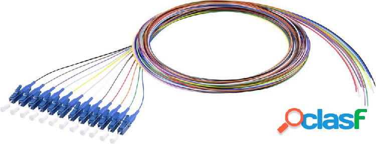 Renkforce RF-3909392 Pigtail a 12 colori 1 pz.
