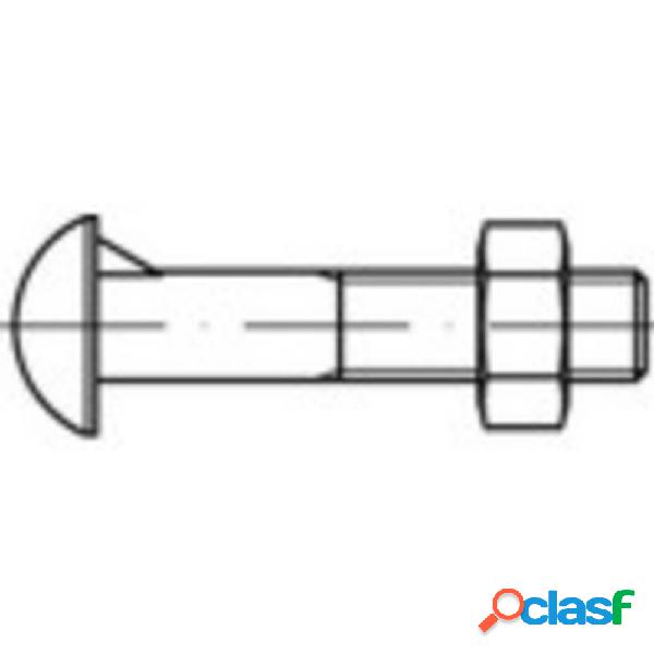 TOOLCRAFT 111766 Viti a testa mezza tonda con nasello