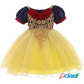 Toddler Little Girls Dress Floral Cartoon Sequins Mesh