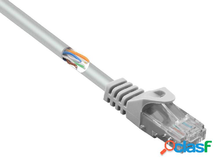 Basetech BT-1717470 RJ45 Cavo di rete, cavo patch CAT 5e
