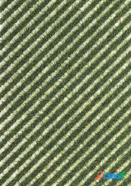 Busch 1343 Strisce derba estate Verde
