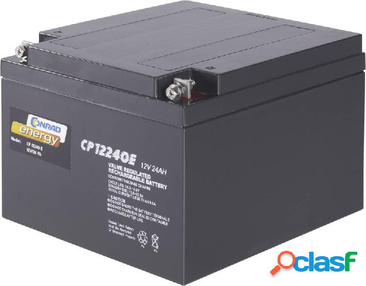 Conrad energy CE12V/24Ah 250226 Batteria al piombo 12 V 24