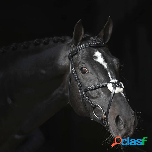 Covalliero Briglia Cancun per Pony Nera
