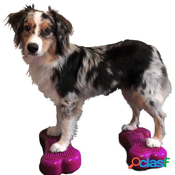 FitPAWS Piattaforme Equilibrio Animali Mini K9FITbone 2 pz