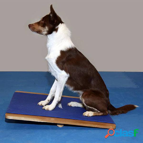 FitPAWS Tavola per lEquilibrio Gigante 75x75 cm Blu