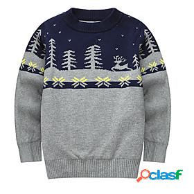 Kids Boys Sweater Long Sleeve Gray Tree Indoor Outdoor