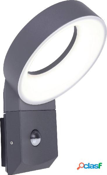 Lutec MERIDIAN 5616304118 Lampada LED da terra per esterno