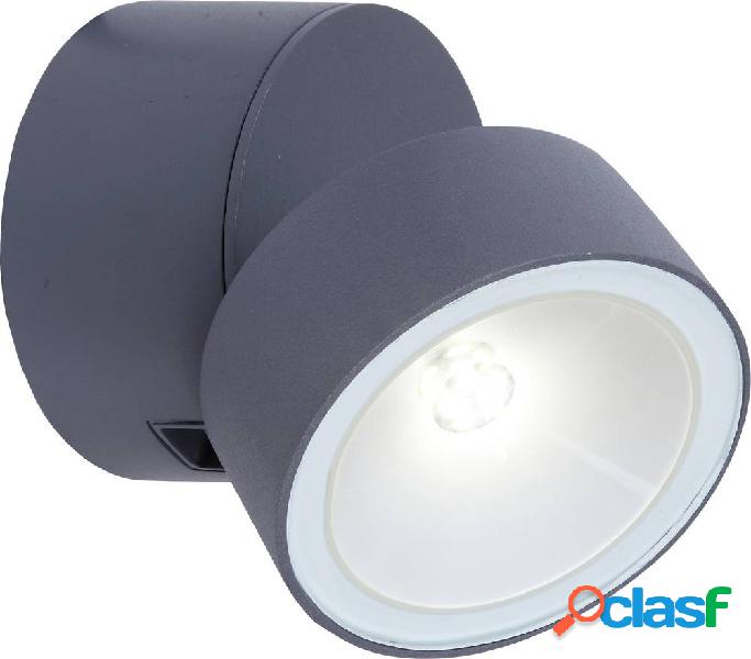 Lutec TRUMPET 5626101125 Lampada da parete per esterni a LED