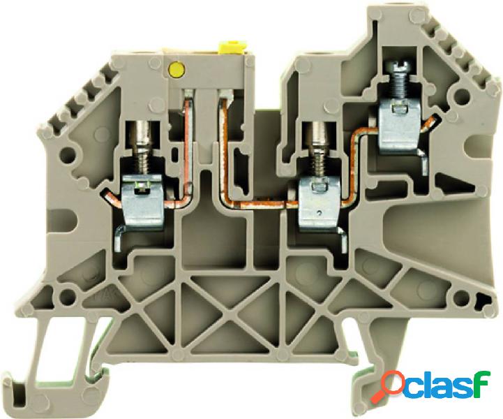Morsettiera Weidmüller WTR 4/ZR STB 1905110000 50 pz.