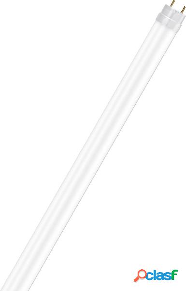 OSRAM LED (monocolore) ERP: A+ (A++ - E) G13 A forma