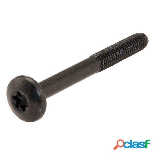 Piaggio pi179306 vite m6x55 mm torx