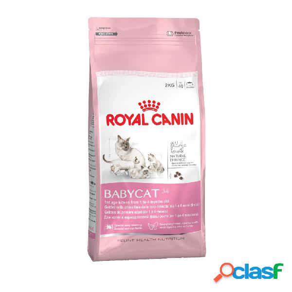 Royal Canin Cat Adult e Kitten Mother and Babycat 400 gr