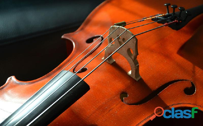 Violinista matrimonio Biassono