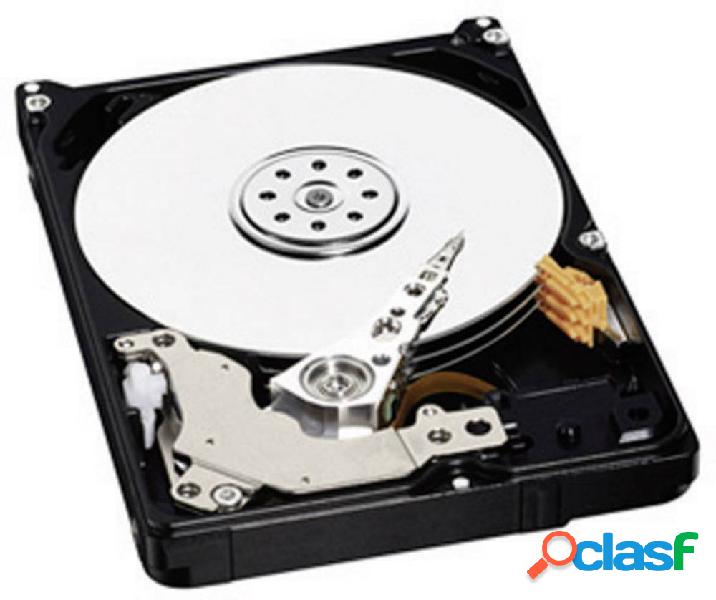 Western Digital AV-25 1 TB Hard Disk interno 2,5 SATA II