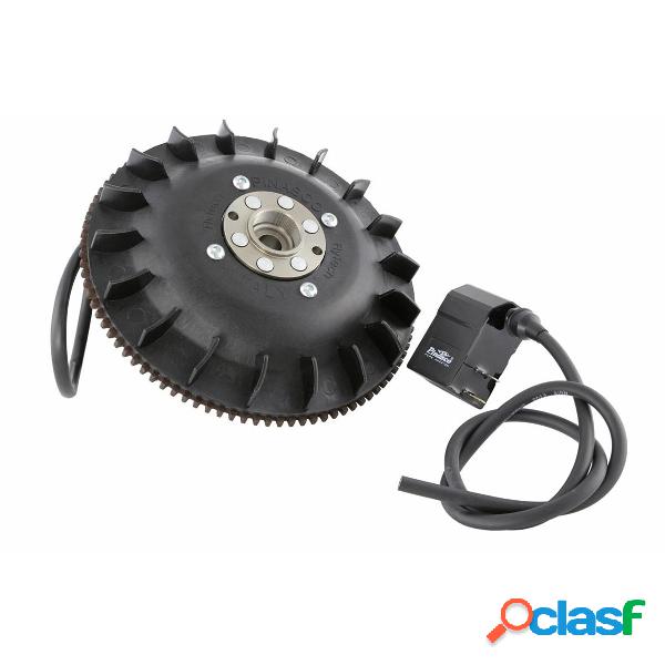 pinasco 25356831 accensione flytech