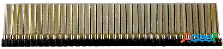 BKL Electronic Connettore femmina (precisione) Numero di