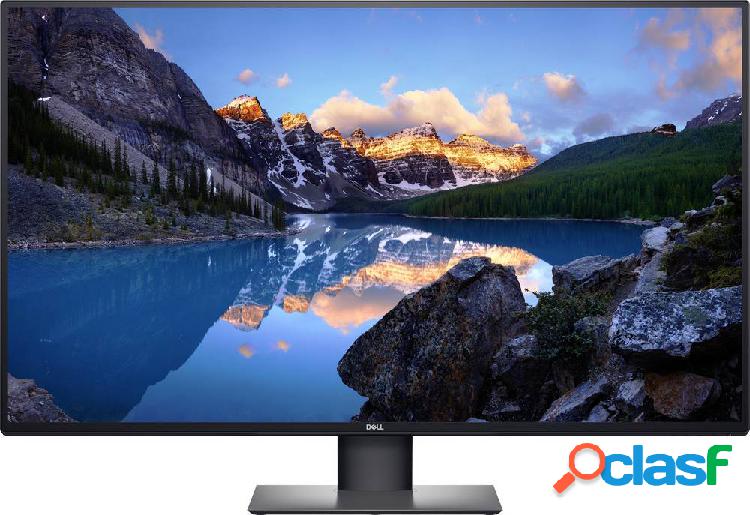 Dell UltraSharp U4320Q Monitor 108 cm (42.5 pollici) ERP G