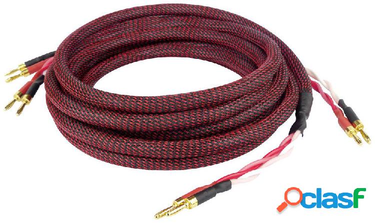 Dynavox 207298 Audio Cavo [2x Spina a banana - 2x Spina a